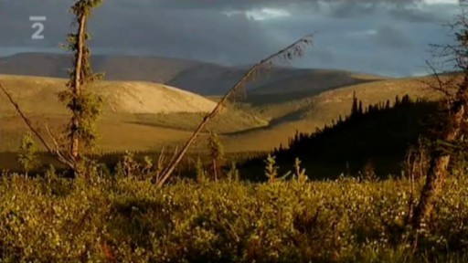 Kniha týdne: Jan Novák - Aljaška (Plus)