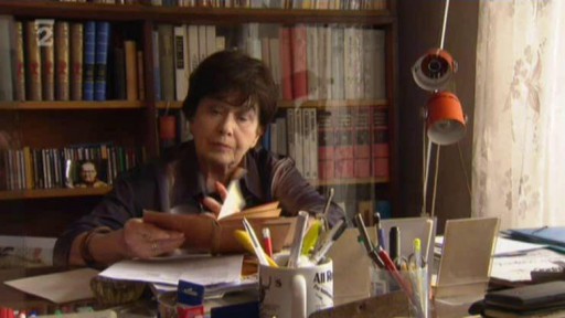 Stálice a nové lásky