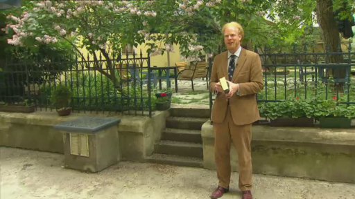 Stálice a nové lásky