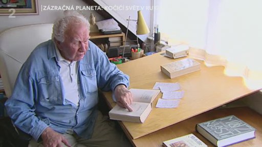 Stálice a nové lásky