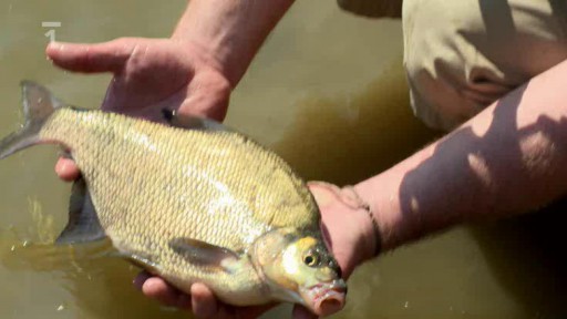 Technika feeder 2.část