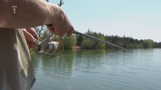 Nahazování s multiplikátorem