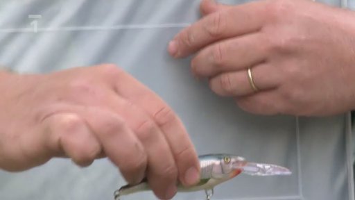 Chytání sumců na vábničku a přívlačí