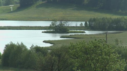 Rybníky kolem Litomyšle