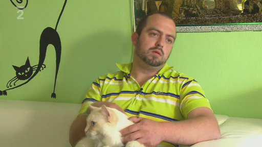 Kočičí značkování