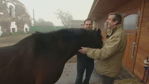 Nenápadný šampión