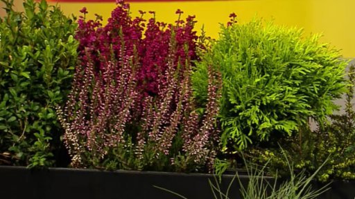 Venkovní mrazuvzdorné truhlíky a osazení