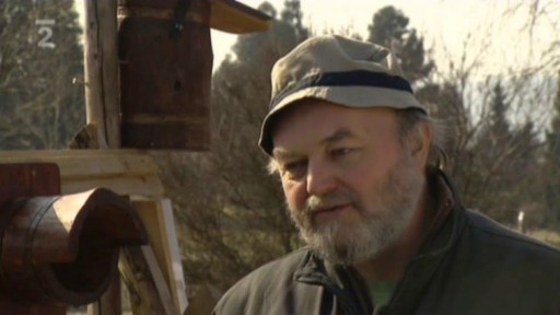 Jak vybudovat ptačí budku