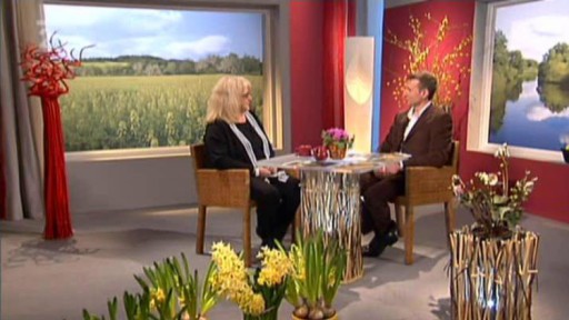 Výstaviště v Lysé nad Labem