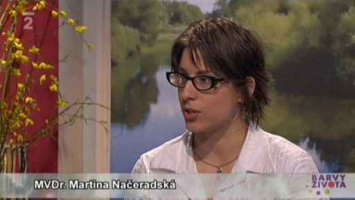 Jak rozumět řeči psů