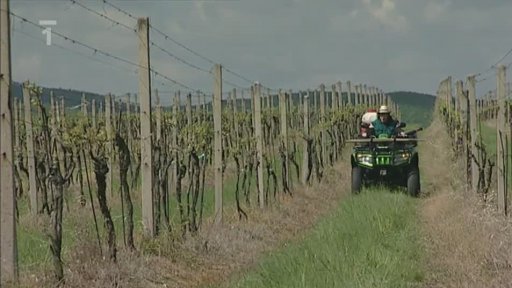 4x4: Se čtyřkolkou na vinici