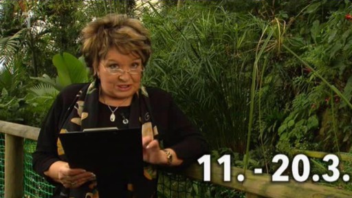 Květinový horoskop