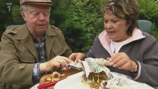 Rosolozub huspenitý