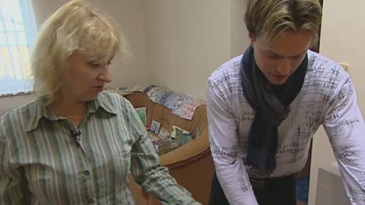 Sběratelka vánočních předmětů