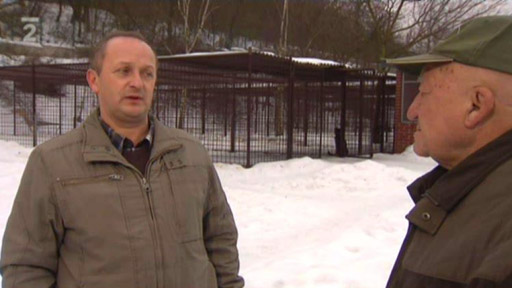 Co bychom měli vědět o útulcích