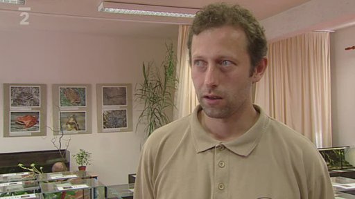 Obojživelník a plaz roku