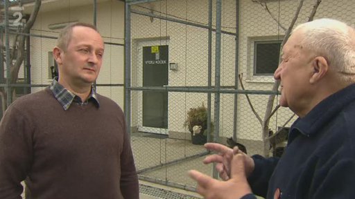 Miniseriál – Trojský útulek: Zkušenosti a praxe