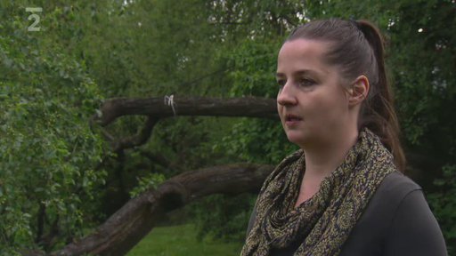 Zvířata bez šance