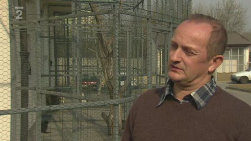 Miniseriál – Co bychom měli vědět o útulcích