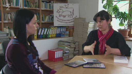 Zeptejme se zvířat – Let's ask the animals