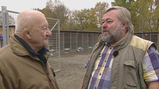 Miniseriál: Co bychom měli vědět o útulcích