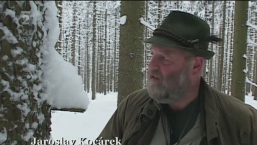 Kolik stojí myslivost