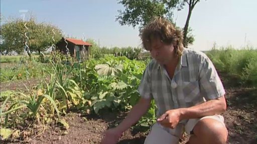 Práce v období babího léta