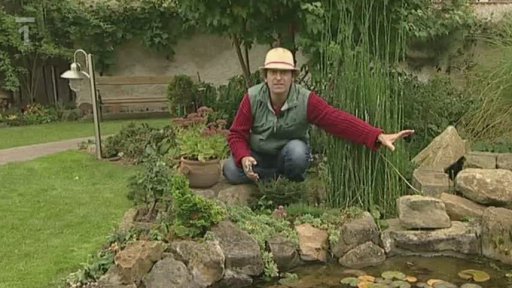 Jak se staví skalka