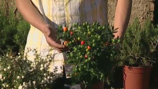 Podzimní a zimní květinové aranžmá