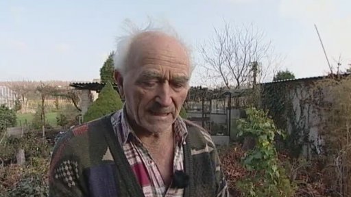 Kouzelná rostlina druidů