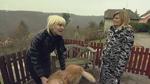 Zahrada Báry Nesvadbové je plná koček