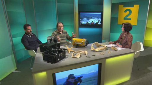 Steve Lichtag a Josef Voleman