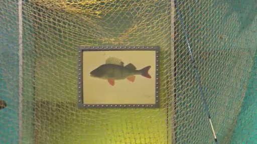 PhDr. Václav Rameš - 2. část