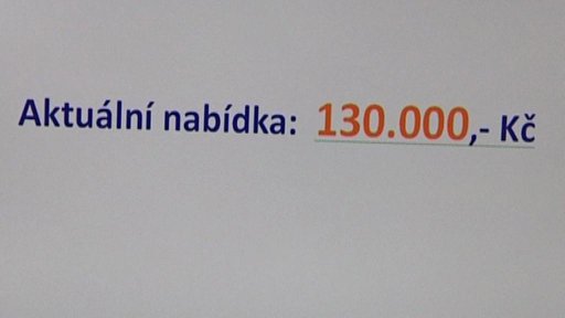 Úspory internetových aukcí