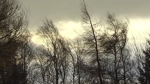 Očekáváná kalamita se v Ústeckém kraji nekonala