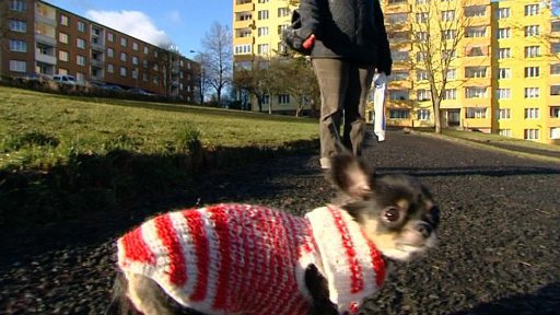 Nespokojení majitelé psů v Karlových Varech podepisují petici