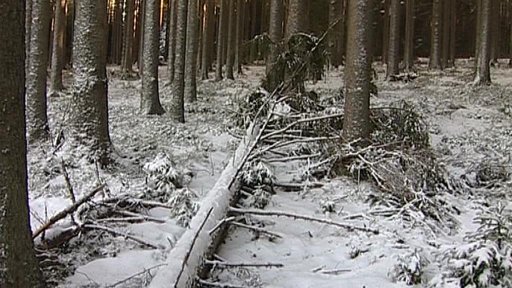 Bezzásahová zóna v šumavském NP se téměř zdvojnásobí