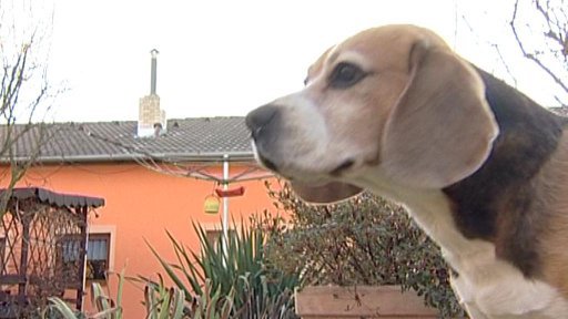 V Mydlovarech na Českobudějovicku se objevily další nebezpečné nástrahy