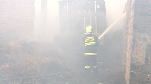 Při požáru zemědělské budovy uhořelo sedm zvířat