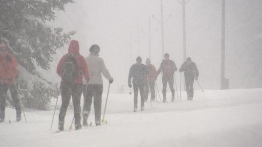 Lyžování na Šumavě