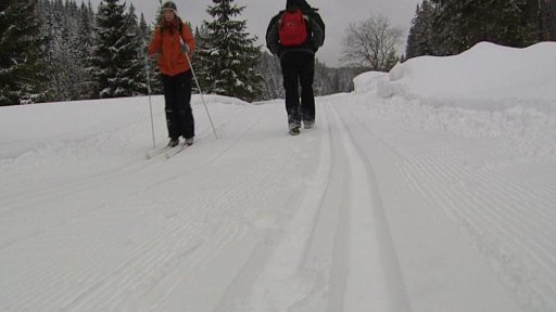 Údržba bílých stop na Šumavě