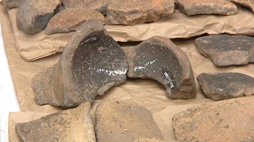 Vzácné vykopávky u Pardubic