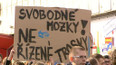 Protestní pochod v Plzni