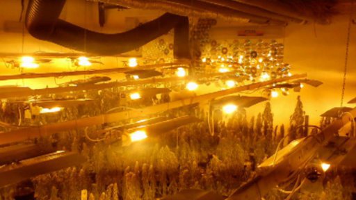 Policie odhalila pěstírnu marihuany