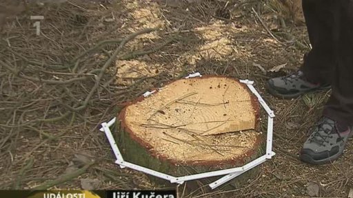 Možná pokuta za vykácené stromy.