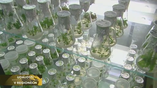 Za více než půl miliardy korun vznikne v Holovousích na Hořicku.