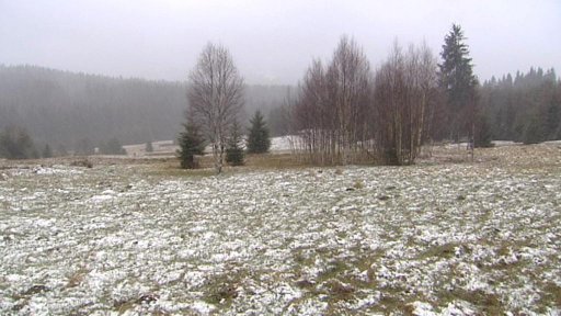 Ze Šumavy mizí louky