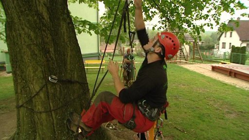 Stromolezci ošetřovali stoletou lípu v obci Oudoleň
