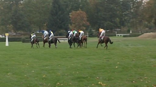 Dostihový spolek Pardubice zaplatil statisíce korun za smrt klisny Inkasentky.