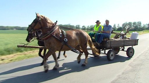 Koně v čele protestů